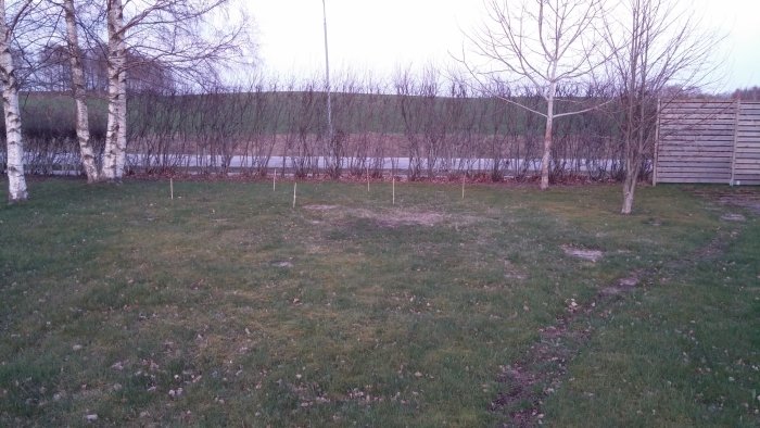 20140413_202042.jpg