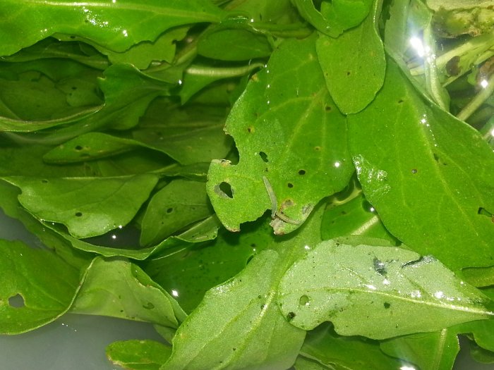 20130707_085517.jpg