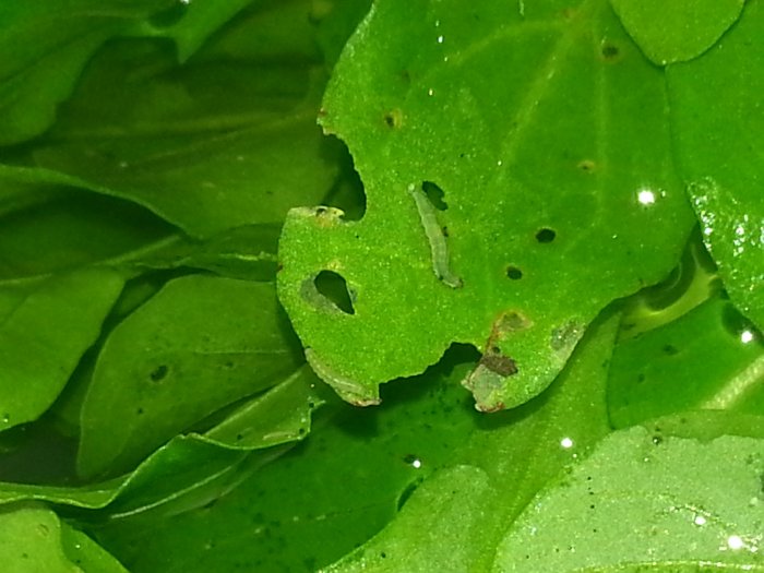 20130707_085551.jpg