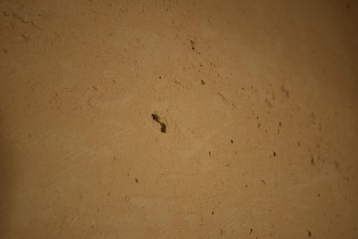 DSC_0145.jpg