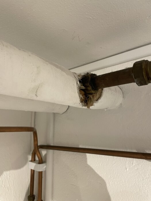 Vita isolerade rör i taket med synligt kopparrör i tvättstuga, misstänkt asbest, huset byggt 1959.