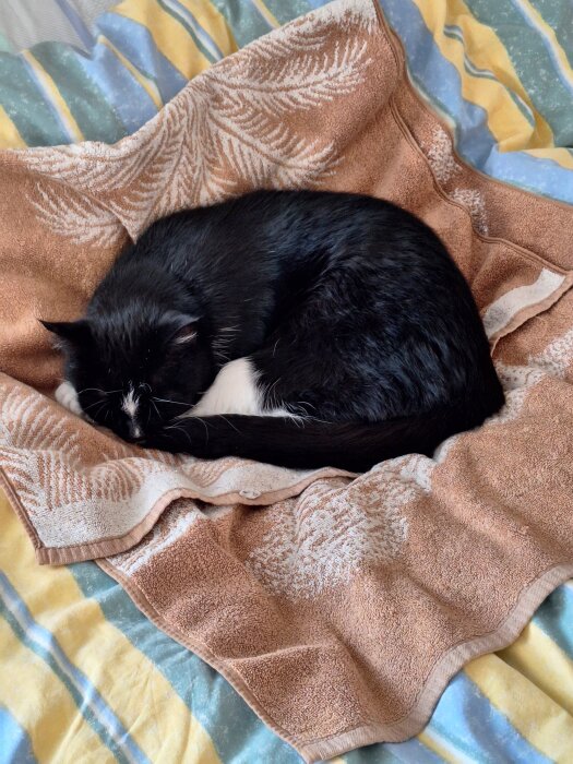 Svartvit katt sover på brun handduk på sängen med färgglatt överkast.