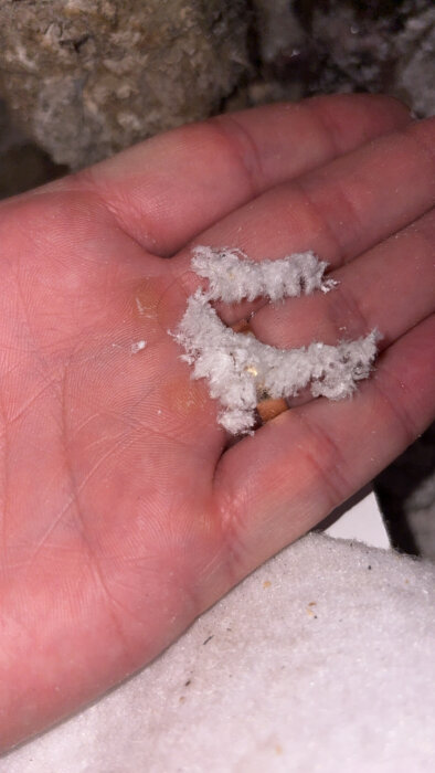 Hand håller i vitt, fiberrikt material som ser poröst och pulveraktigt ut.