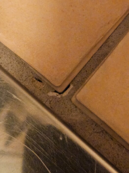 20260312_113408.jpg