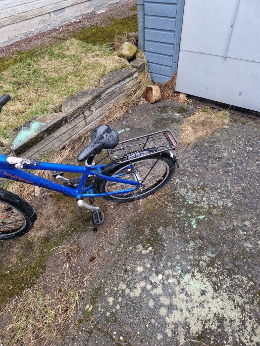 Blå cykel lutad mot grått skjul, gräs och stenplattor i bakgrunden, våt mark och mossa på betong, del av en grannes tomt.