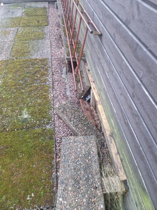 Mossbelagda plattor bredvid en husvägg i trä, med en lutande röd stege mot väggen och grus mellan plattorna och väggen.