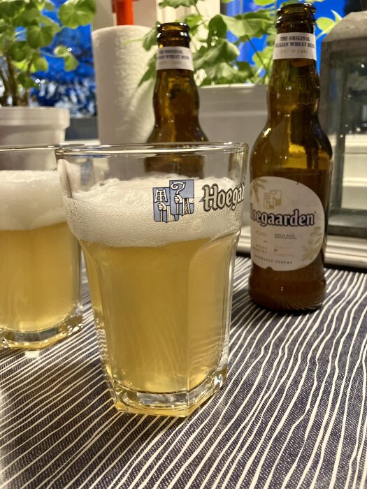 Glas och flaskor med Hoegaarden-öl på ett randigt bord, omgivna av gröna växter och en rulle hushållspapper i bakgrunden.