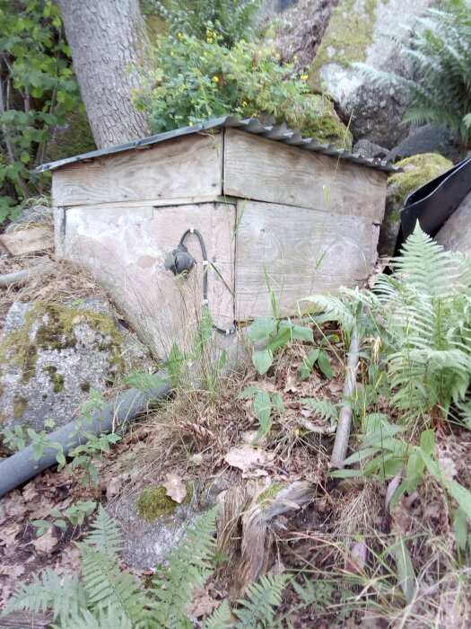 Trälåda vid träd och stenar, med metallock och ett rör på sidan, omgiven av gräs och ormbunkar i skogslandskap.