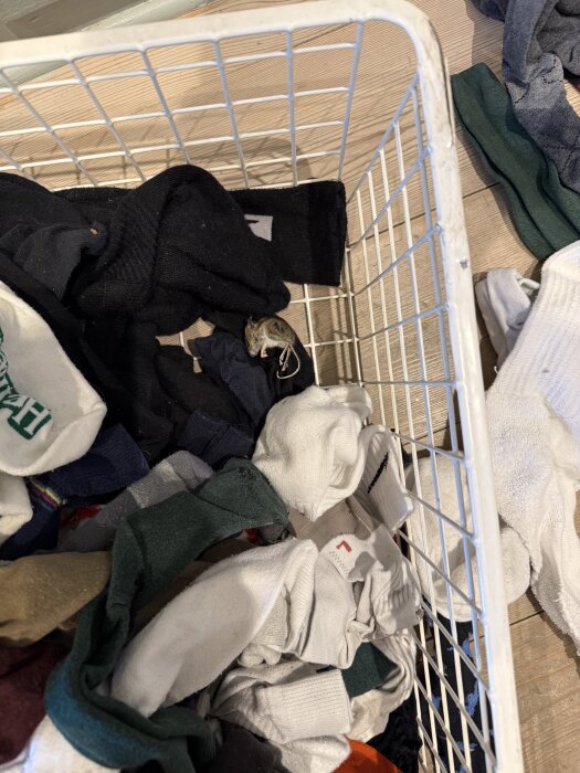 Strumkorg med blandade strumpor och en liten mus bland sockorna.