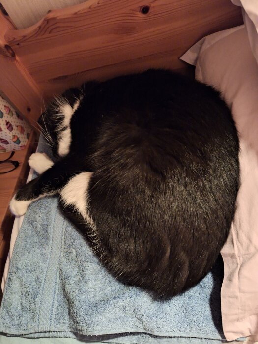 Svartvit katt sover hopkrupen på en blå handduk bredvid en kudde i en säng.