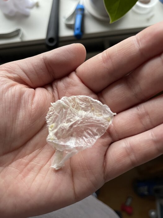 En hand håller i en bit tunn och genomskinlig plast, vilket verkar vara en ångspärr, som fastnat vid borrning ovanför ett fönster.