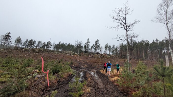 Tre personer står vid en lerig grusväg i en skogsglänta med barrträd. Rosa markeringar sitter på en gren nära vägen.