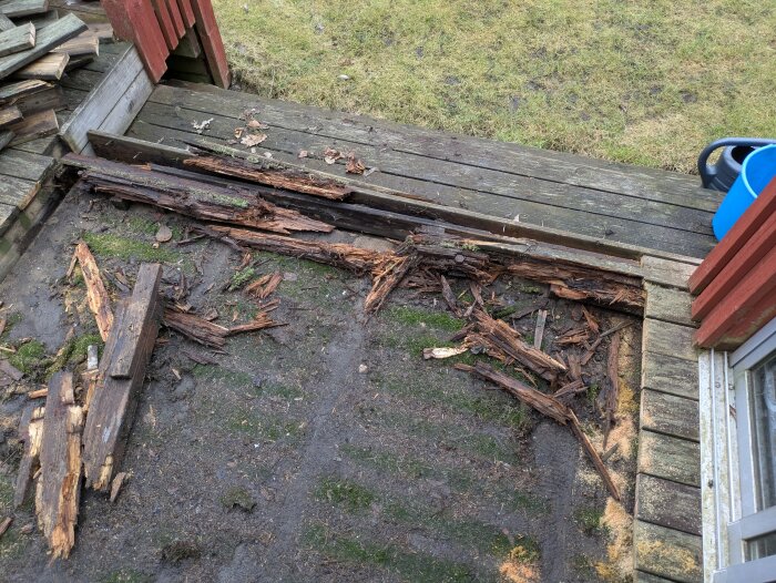 Ruttet trä på altangolv med grön mossa omkring och röd fasad. En blå vattenkanna står bredvid.