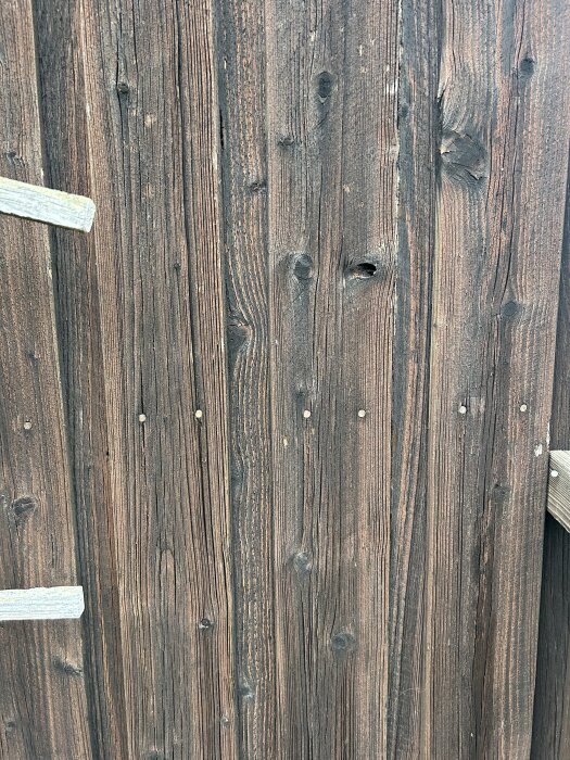 Närbild av gammalt träpanel med sprickor och märken, potentiellt rötskadad, diskuteras om den behöver bytas ut eller kan målas över.