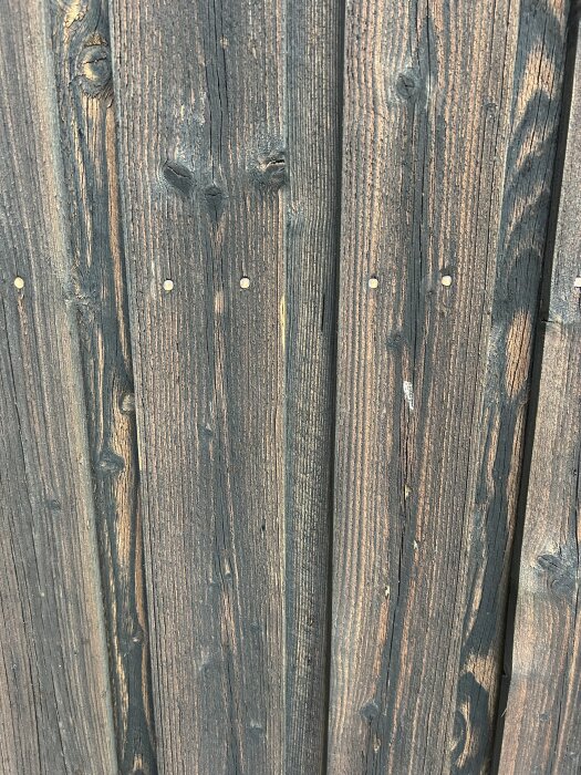 Närbild av en sliten träpanel med spikar, visar tecken på potentiella rötskador.