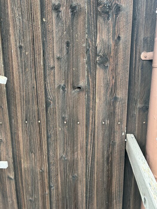 Träpanel med möjligt rötskada, synliga kvistar och spikar. Delar av panelen verkar slitna, placering vid en hörn.