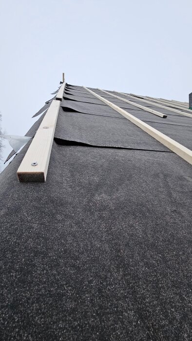 Tak med papp installerad, med synliga trälister monterade ovanpå. Bristfällig montering antyds då klisterremsor saknas på ena sidan.