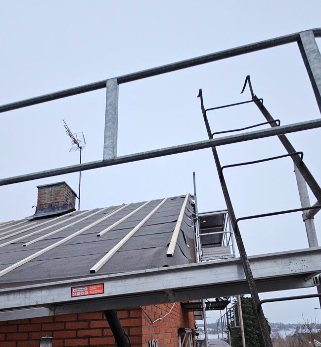 Tak med svart underlagspapp och träreglar monterade, tegelvägg och skorsten synliga. Byggnadsställning runt taket. Antenn i bakgrunden.