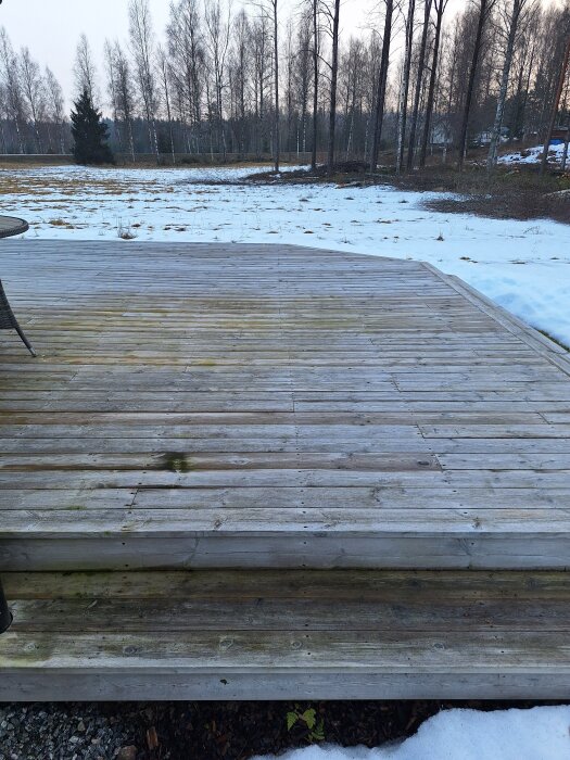 20260310_154411.jpg