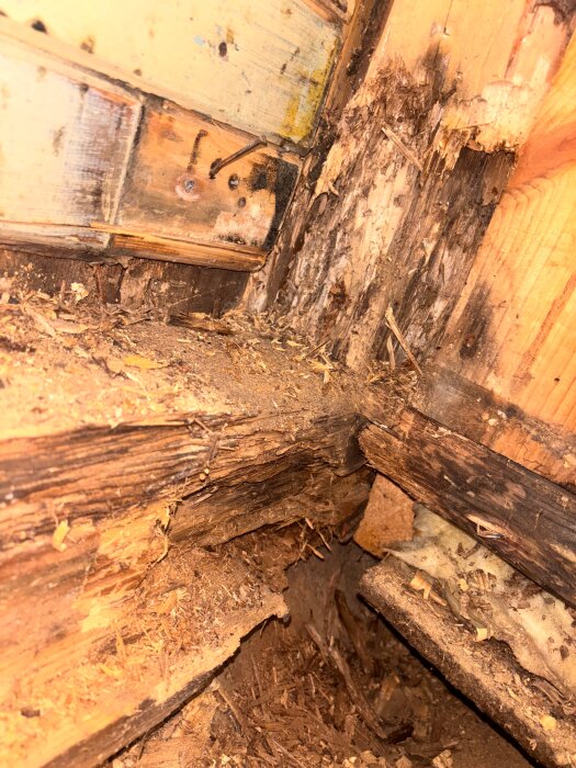 Ruttet trä och skadat byggmaterial i ett hus hörn, exponerade spikar.