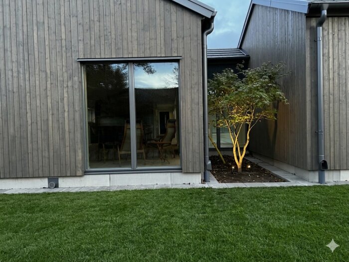 Trähus med stora fönster, bredvid står en upplyst japansk lönn i en enkel trädgårdsmiljö.