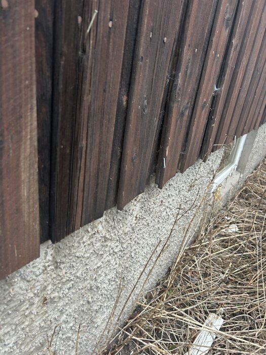 Träpanel med glapp från väggen ovanför en betonggrund, med torrt gräs vid foten.