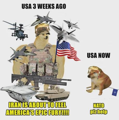 Doge-bild med militärtema och humortexter. "USA 3 weeks ago" visar Doge med vapen, "USA now" visar trött Doge. Texter om Iran och NATO.