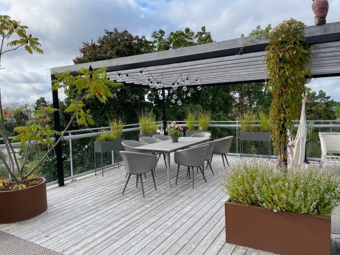 Trädäck med möbler och växter; rönnsumak i kärl till vänster, planteringskärl med stenkyndel och klättervid till höger, under en pergola och ljusslinga.