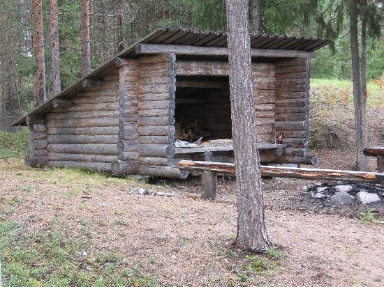 Vedbyggt vindskydd i skogsmiljö med öppning, träväggar och tak, omgiven av träd och en eldstad.