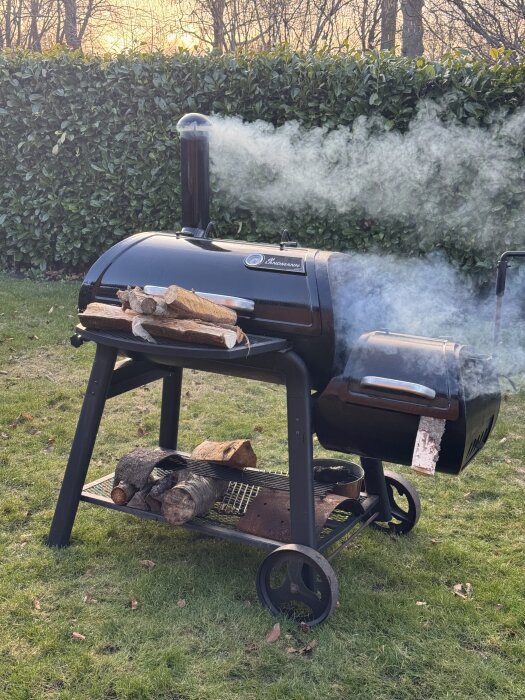 Offset smoker med rök som stiger, vedförvaring under. Används för vårvård med inbränd rapsolja. Står på gräs framför häck.