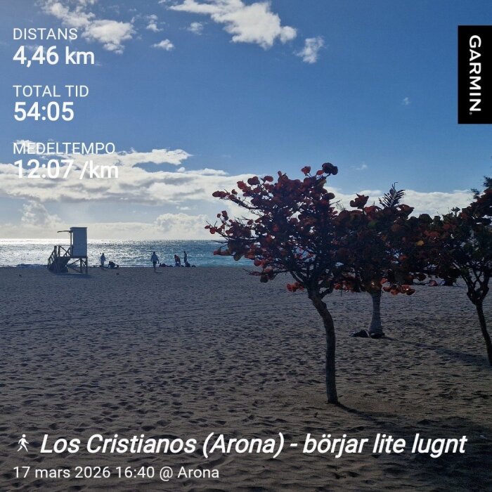Strandscen med träd i förgrunden, hav i bakgrunden och människor vid vattnet under en blå himmel. Text: Distans 4,46 km, Tid 54:05, Tempo 12:07/km.