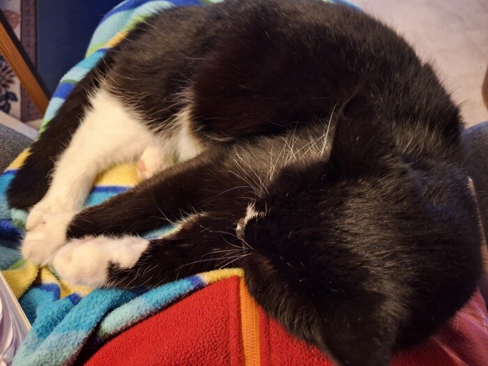 Svartvit katt som sover på en färgglad filt.