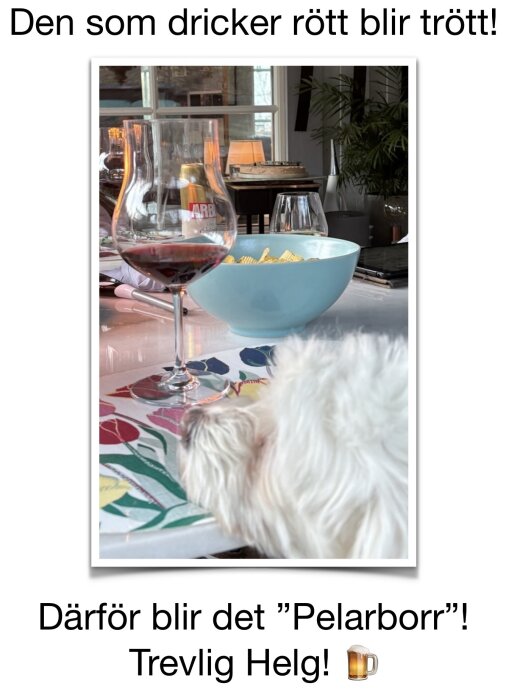 Ett vinglas med rött vin, en skål med snacks och en vit hund på ett bord med färgglatt tyg.