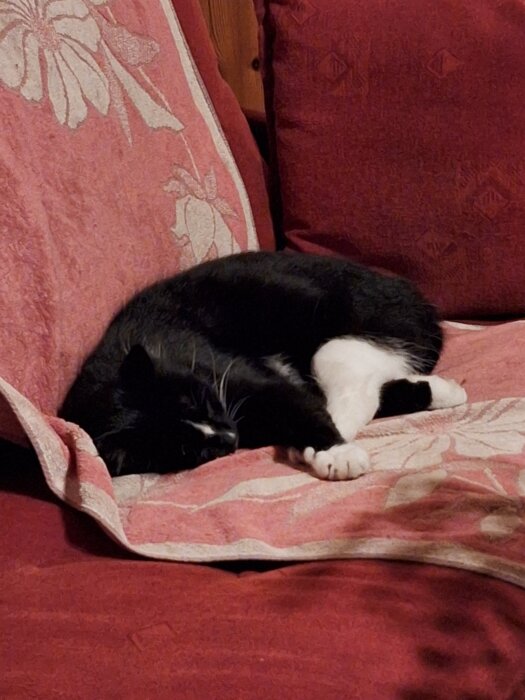Svartvit katt sover på en röd soffa med blommigt mönster.