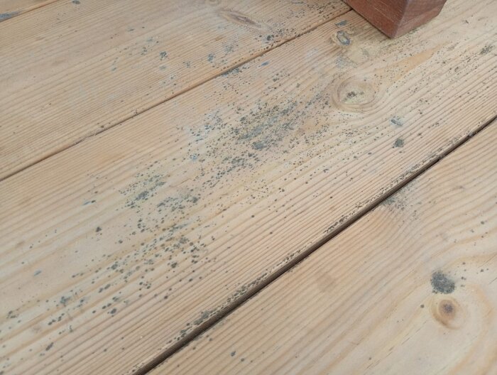 Ljusbrun altan under tak med mörka fläckar och tecken på fuktpåverkan efter en blöt vinter.