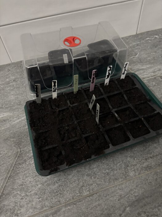 Brätten med nysådda frön i jord på badrumsgolvet, märkta med etiketter. Bär skapelser av tomater, paprikor och andra grönsaker.