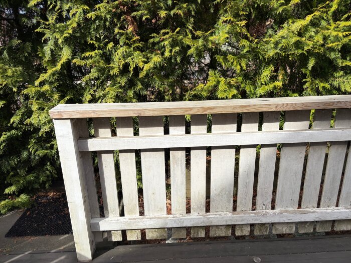 Vitmålat staket runt terrass med smuts och mögel, färgsläpp och sprickor vid ändträ, gröna buskar i bakgrunden.