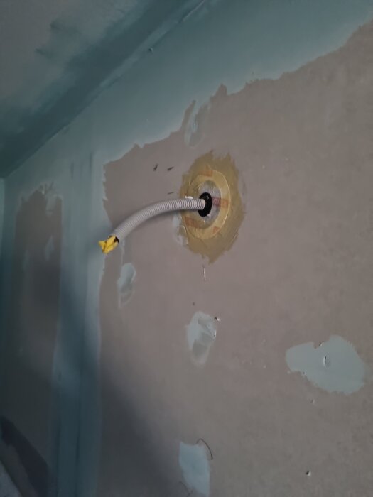 image-1774084724064.jpg