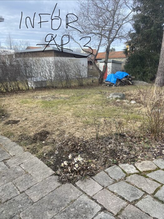 En trädgård med gräsmatta, träd utan löv och en vedhög täckt med en blå presenning; texten "INFÖR AP 3" är skriven ovanpå bilden.