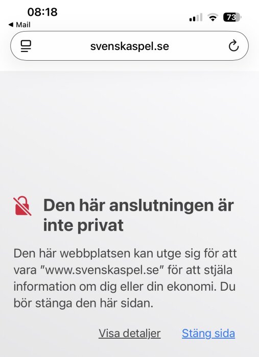 En varningsskärm visar att anslutningen till svenskaspelet.se inte är privat, med rekommendation att stänga sidan för att undvika stöld av information.