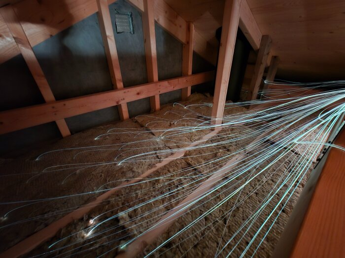 Isolerat innertak i en friggebod, där fiberoptiska trådar för en stjärnhimmel syns monterade mellan reglar och genom isoleringen.