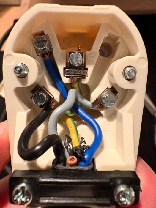 Elektrisk kontakt med blå och svart ledning, jordad med gul/grön kabel. Inuti syns fyra anslutningar med koppartrådar fästa.