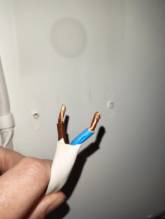 Isolerad kabel med en brun och en blå koppartråd visas, hålls i en hand mot en vägg.