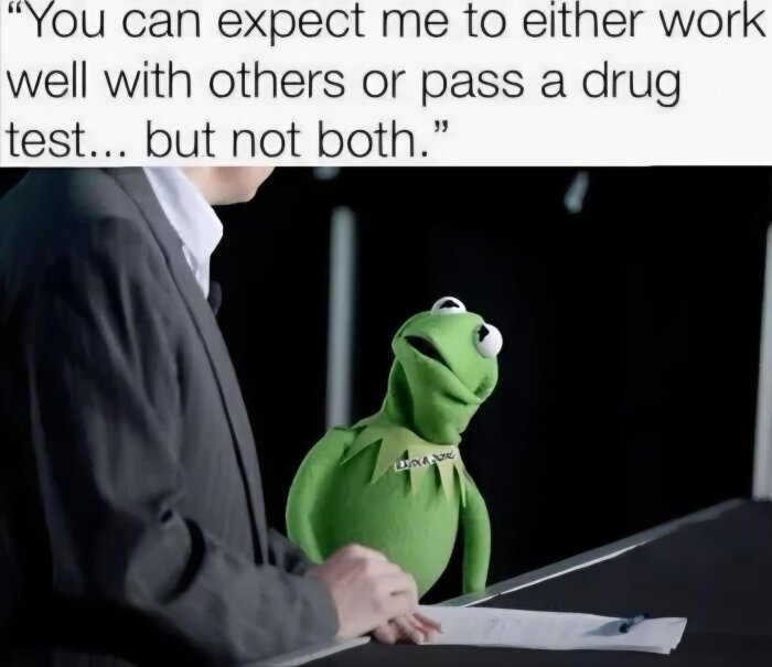 Kermit tittar på en man i kostym som står vid ett podium. Text ovan lyder: "You can expect me to either work well with others or pass a drug test... but not both.