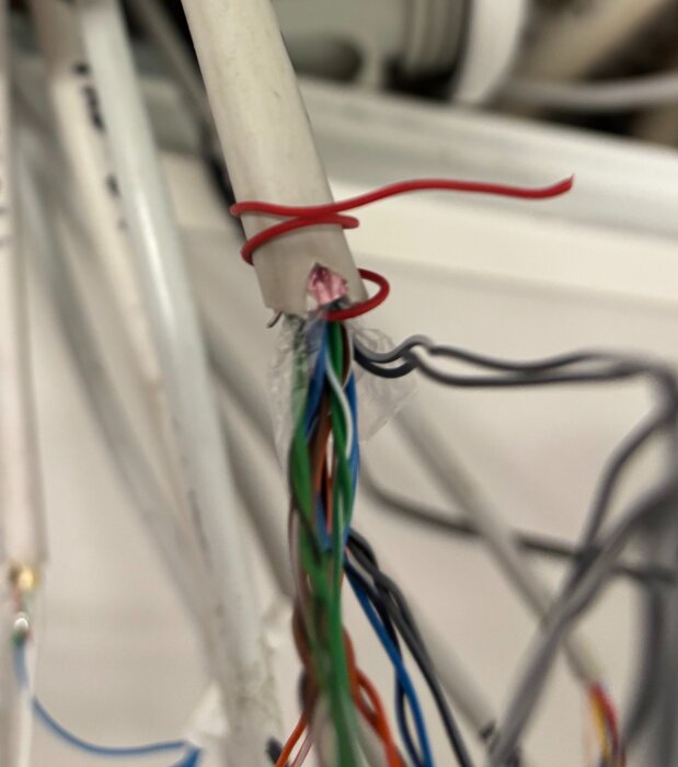 Exponerade flerfärgade ledningar ur ett vitt kabelhölje, hålls ihop med röd tråd och ses i en närbild.