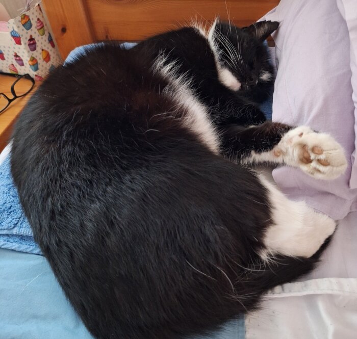 Svartvit katt sover på en säng med blå och lila sängkläder.