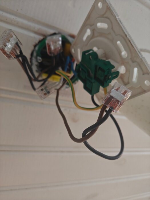 Eluttag med flera sladdar kopplade till wagoklämmor, en brun kabel verkar sakna ström, i ett försök att felsöka elektriskt problem.