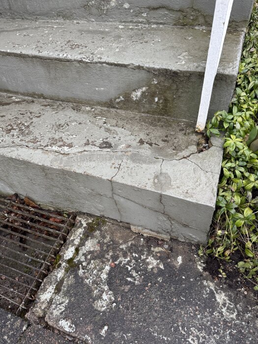 Bilden visar en betongtrappa med sprickor och avflagning. Det finns växter intill och ett rostigt galler i marken.