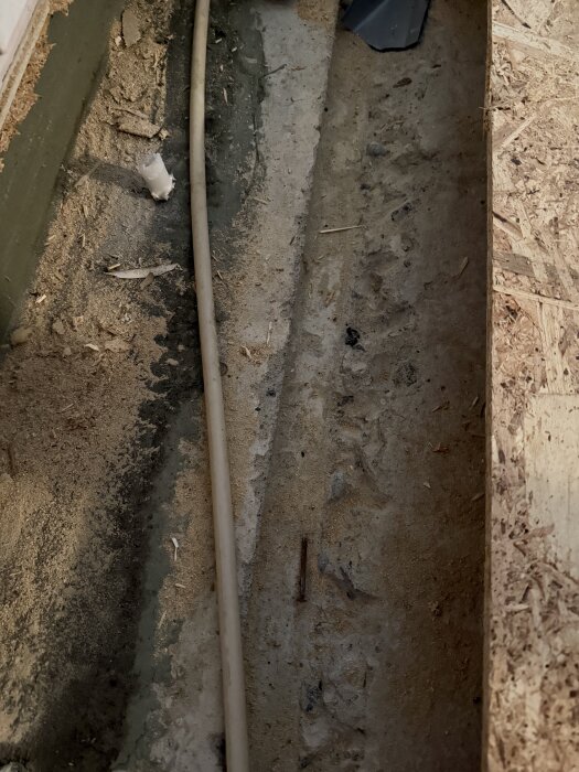 En träregel under syll med misstänkt svart mögel på grön yta och träspån synliga. En kabel löper längs marken.
