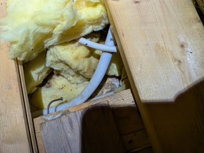 Gul mineralullsisolering och träbjälkar med en vit kabel, del av en kallvind i ett 70-talshus, med fokus på isoleringsmaterialet.